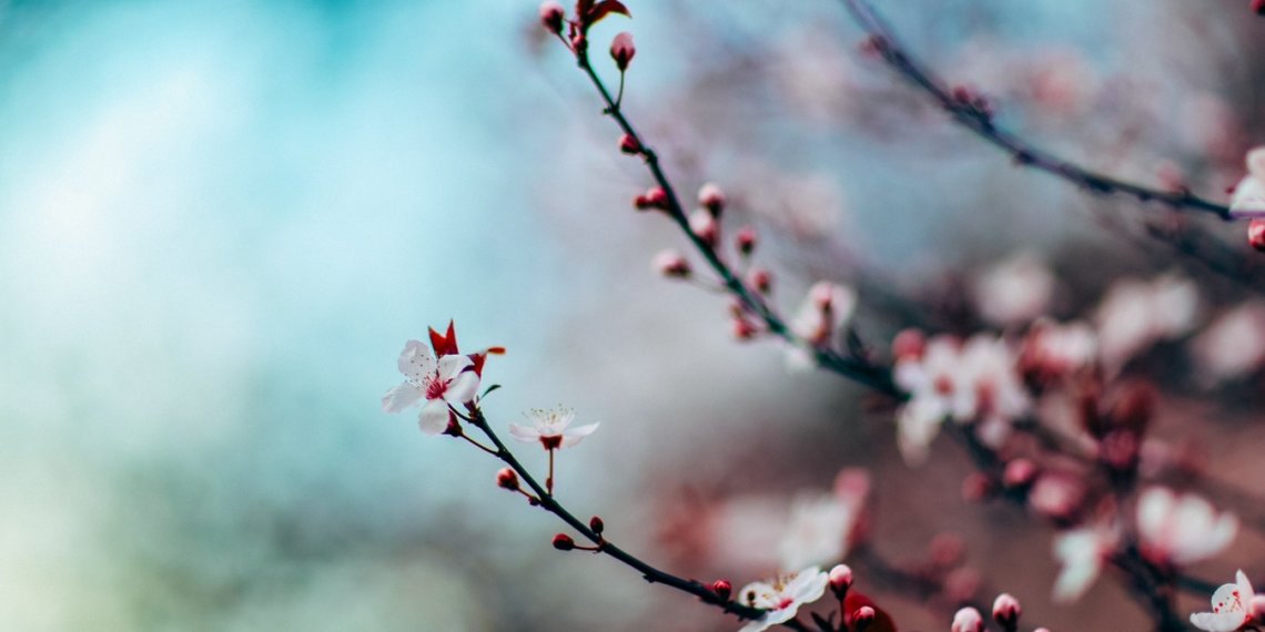 Синоптики рассказали, когда вернется тепло в Новосибирск