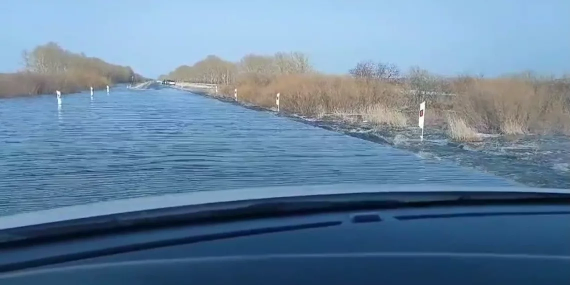 Проезд международным автобусам запретили под Новосибирском из-за паводков