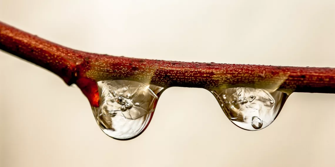 Снег и ливень — с какой погодой столкнутся новосибирцы во второй половине недели