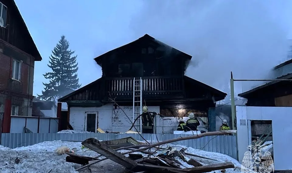 «Бросился в огонь, чтобы спасти сына»: в Новосибирской области за неделю произошло 55 пожаров