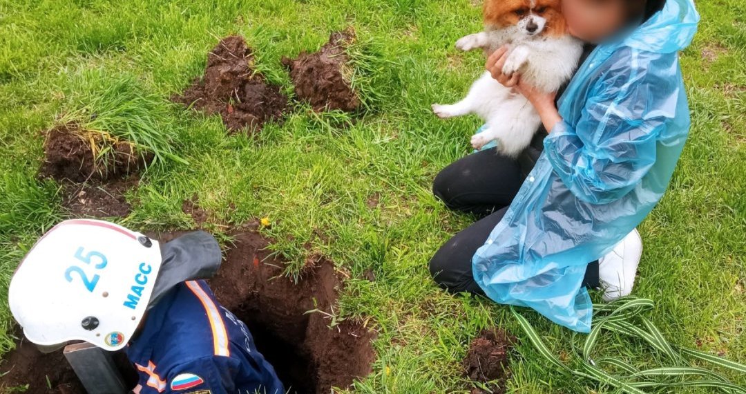 Спасатели вызволили собаку из-под земли в Новосибирске