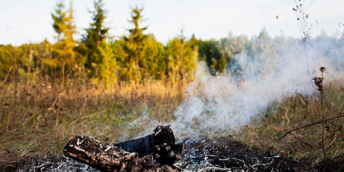Молния стала причиной лесного пожара в Cибири