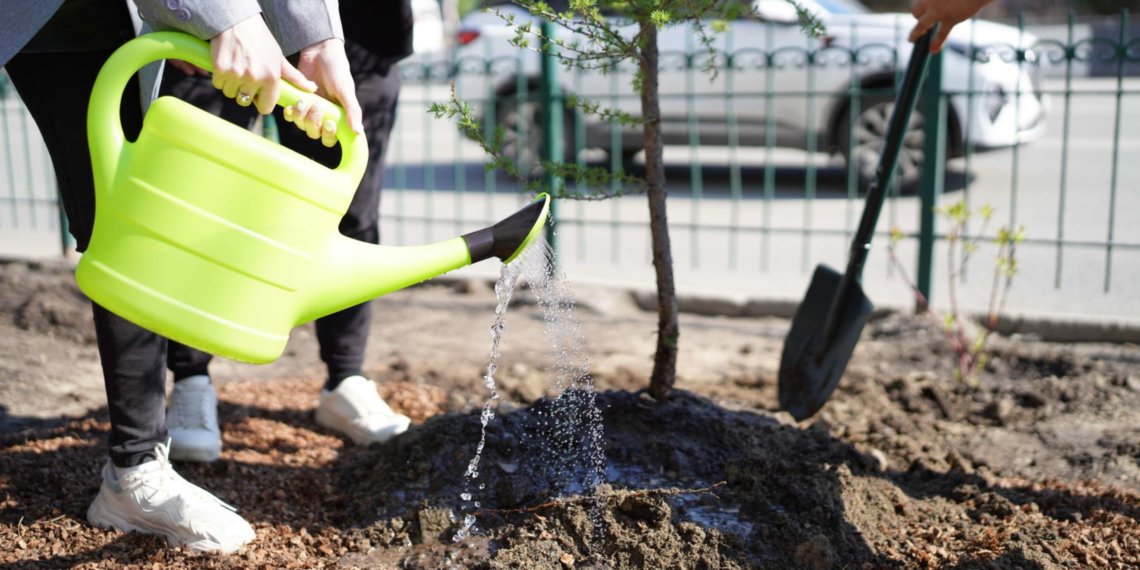 Предприниматели и сотрудники Сбера открыли в Новосибирске аллею ветеранов труда банка