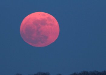 «Цветочную Луну» увидят новосибирцы на следующей неделе