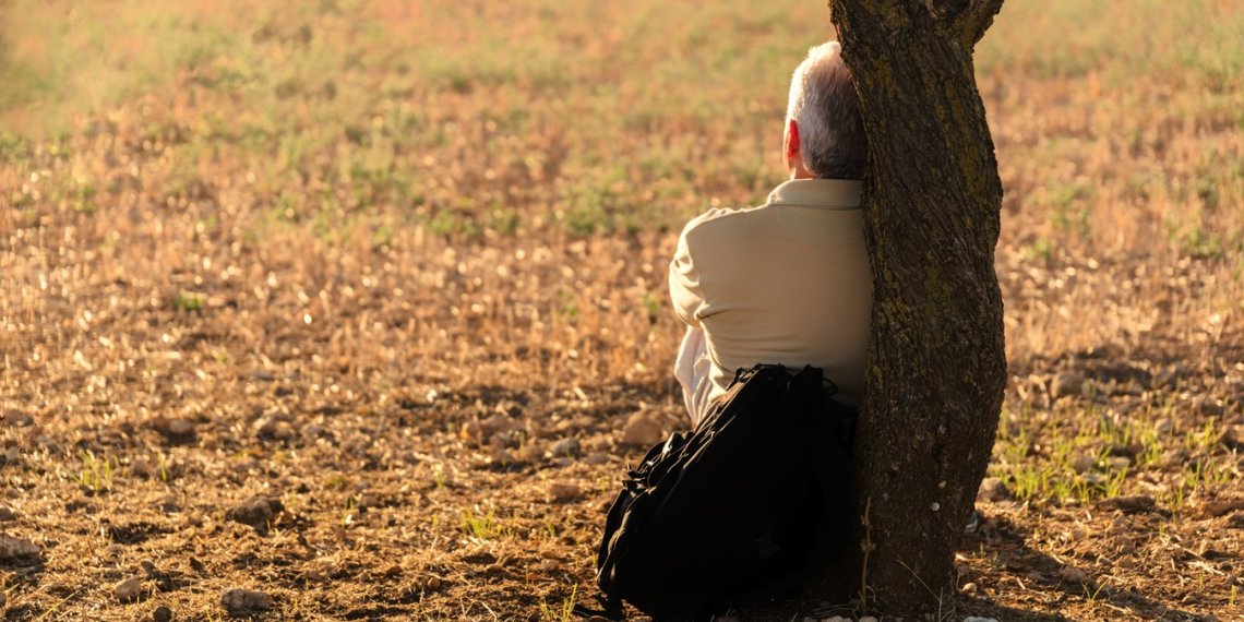 В Новосибирске в первой половине недели синоптики прогнозируют до +22 градусов