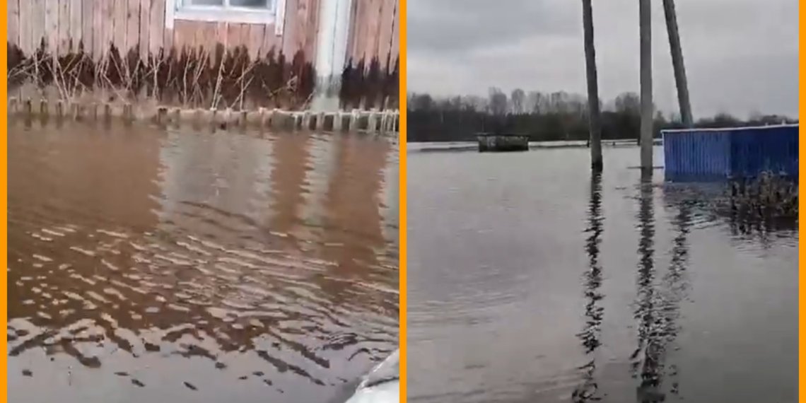 «Как Венеция»: паводок заставил жителей села Верх-Майзас передвигаться по улицам на лодке