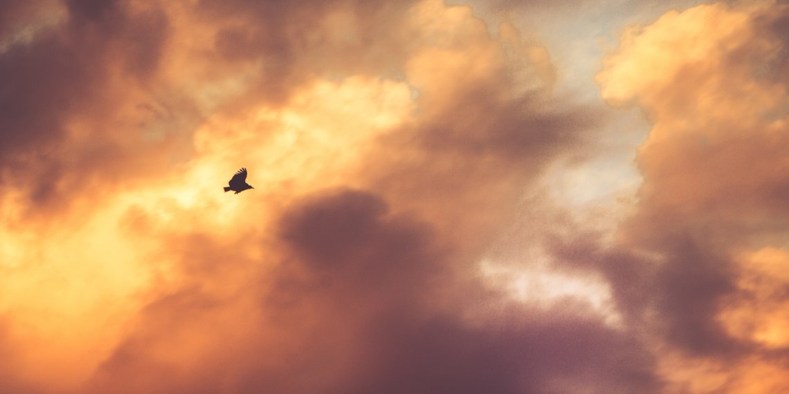 Когда в Новосибирске ожидать магнитные бури