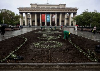 Клумбы с мотивами сибирской флоры и фауны появятся в Новосибирске