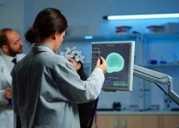 Ученые из Новосибирска рассказали о восстановлении мозга после инсульта