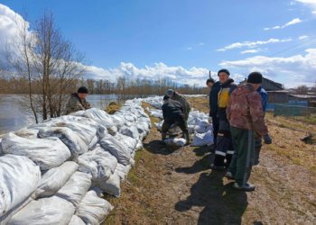 Из омского села после подъема воды в Ишиме эвакуировали 150 человек