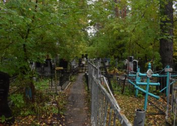 Дерево упало на женщину на кладбище — похоронное бюро выплатит штраф в Новосибирске