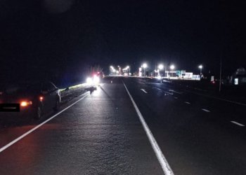 Перебегавший дорогу пешеход погиб на трассе под Новосибирском