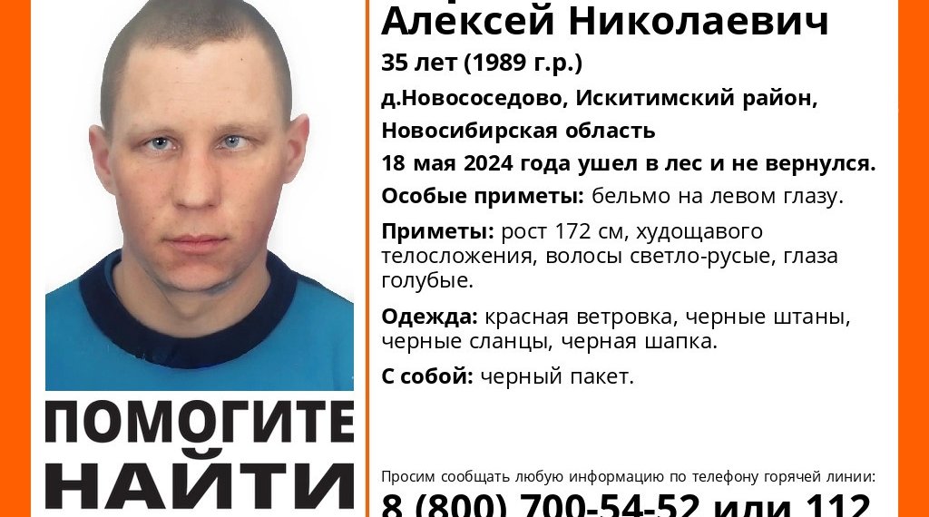 Ушел в лес и не вернулся — в новосибирской деревне не могут найти сибиряка с бельмом на глазу