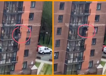 Новосибирский экстремал вскарабкался на 8 этаж дома по балконам