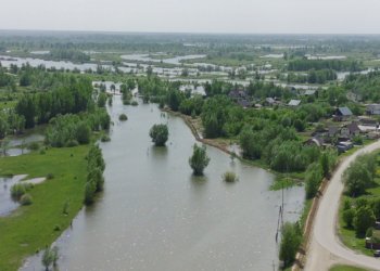 Уровень воды в Оби в ближайшие три дня может приблизиться в критическому