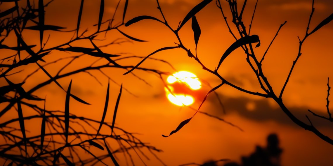 Стало известно, в какие дни новосибирцы столкнутся с изменениями в магнитосфере