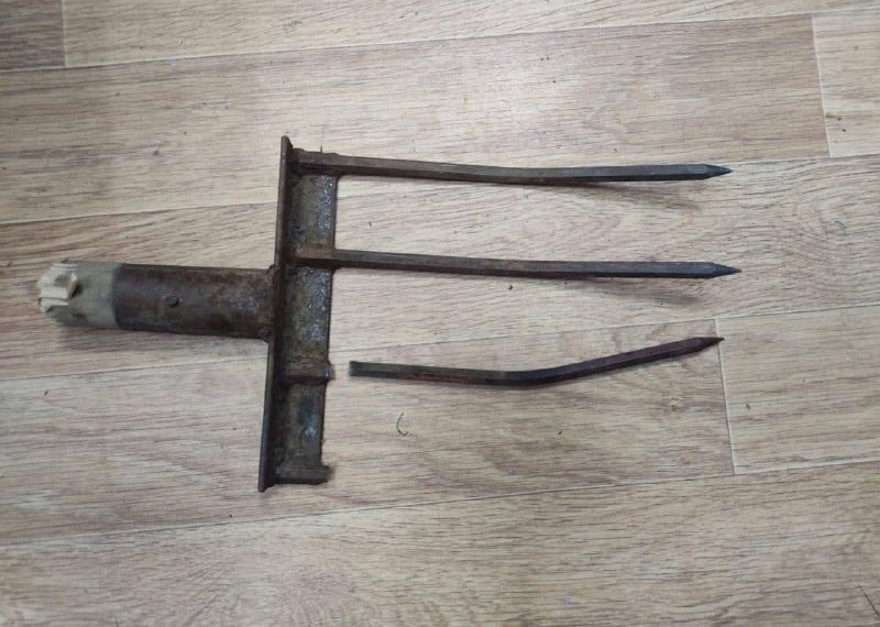 В Новосибирске будут судить мужчину, который вонзил вилы в голову знакомого