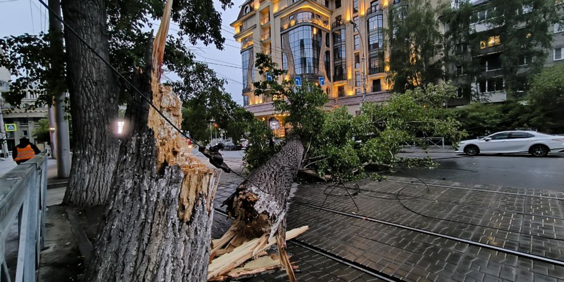 Огромный тополь рухнул на автомобиль в центре Новосибирска