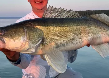 Судака весом более 10 кг поймал житель Новосибирска