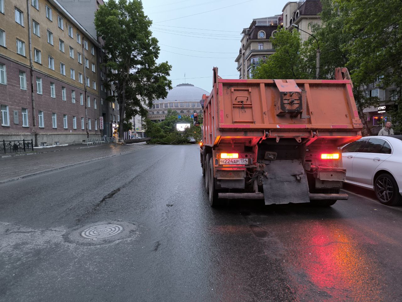 Огромный тополь рухнул на автомобиль в центре Новосибирска | 03.06.2024 |  Новосибирск - БезФормата