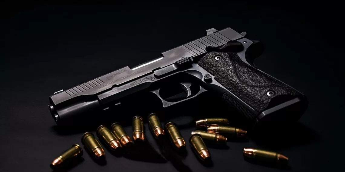 У новосибирцев изъяли сотню боеприпасов и оружие