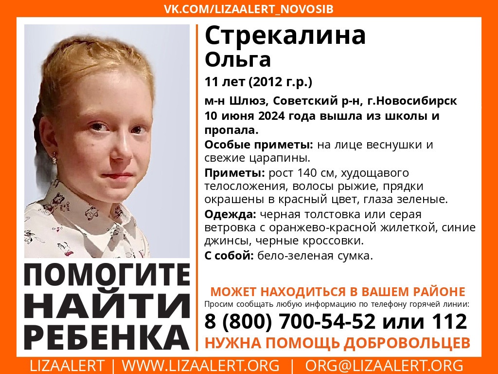 В микрорайоне Шлюз пропала 11-летняя школьница Оля Стрекалина | НДН.Инфо