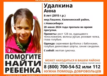 В Пашино пропала 8-летняя девочка во время прогулки