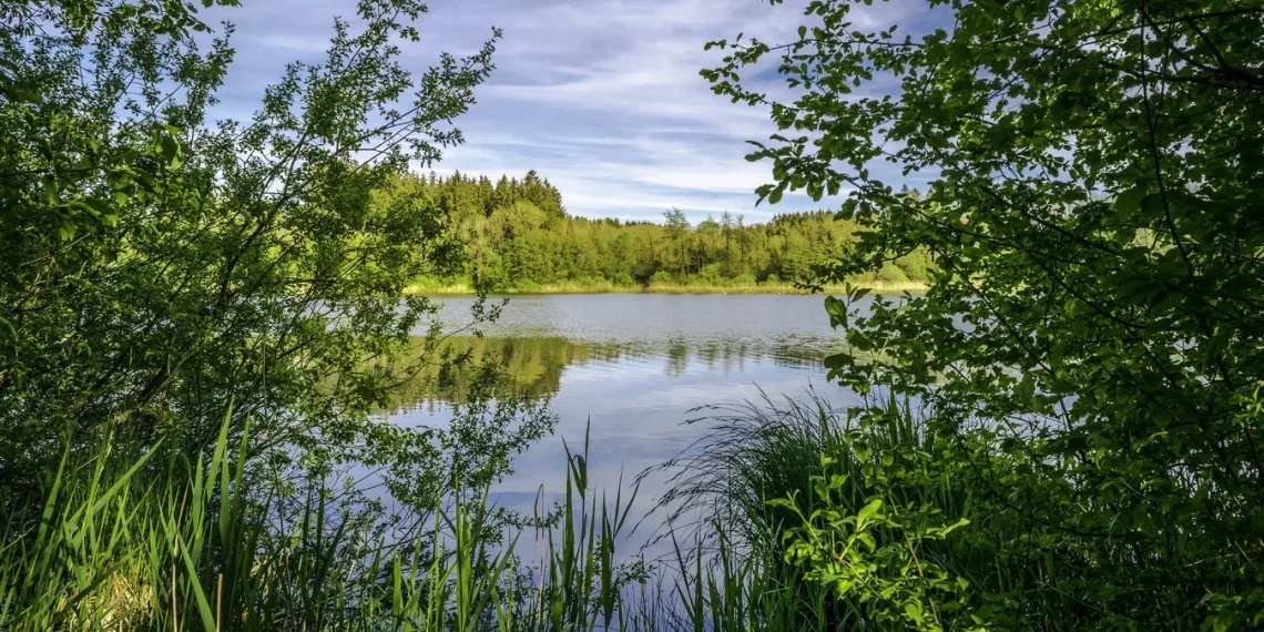 В Новосибирской области за четыре дня утонули три человека