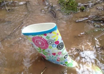 В Новосибирске МЧС предупредило о возможности подтопления до 20 участков в СНТ двух районов