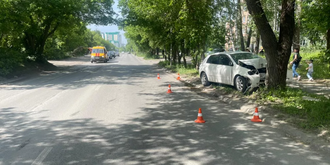 Автоледи влетела в дерево в Дзержинском районе Новосибирска