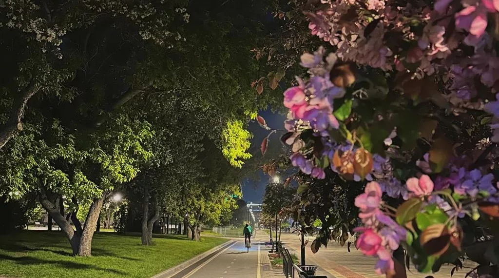 В Новосибирске власти зарезервировали 29 га на строительство двух набережных