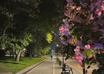 В Новосибирске власти зарезервировали 29 га на строительство двух набережных