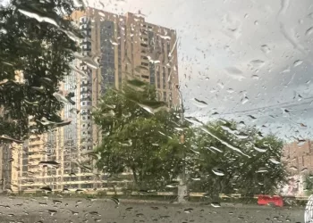 До +31 и дожди — какая погода будет на неделе в Новосибирске