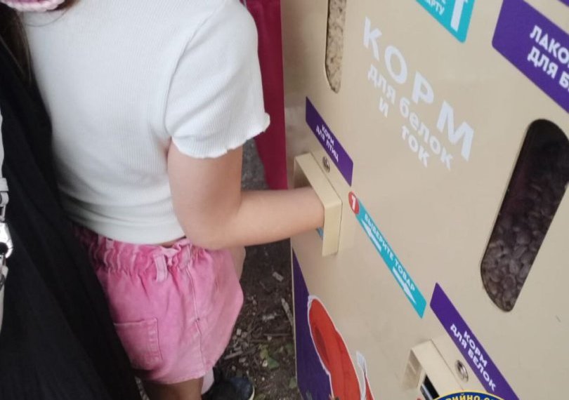 В Новосибирске 9-летняя девочка рукой застряла в автомате подачи корма для белок