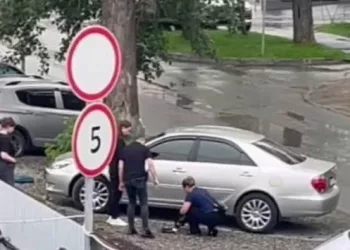 Два трупа в автомобиле обнаружили в Новосибирске