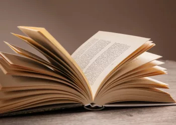 Новосибирский студент проанализировал поэзию Шевчука с помощью математики