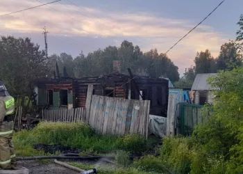 По факту смертельного пожара возбудили уголовное дело в Новосибирской области