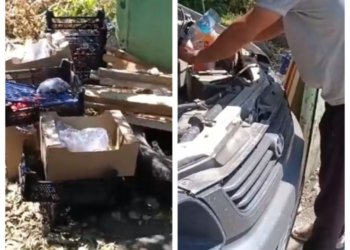 Мигрант бросил гнилые отходы у жилых домов на Хилке в Новосибирске