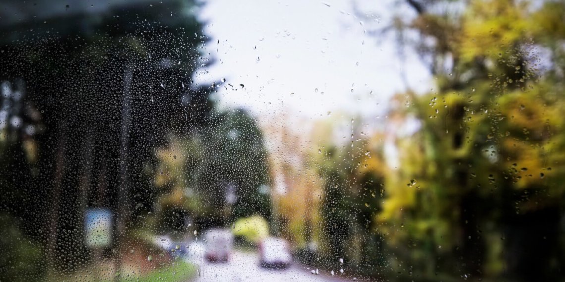 Какая погода ожидает новосибирцев в первой половине недели