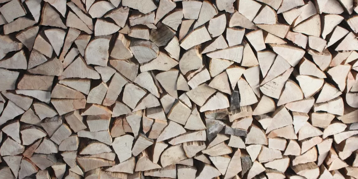 Житель Новосибирской области отправился в колонию за семь спиленных берез