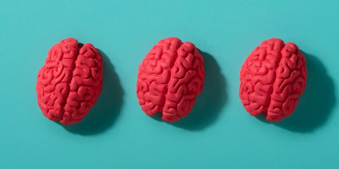 Ученые выяснили, какая пищевая добавка улучшает обучаемость и память