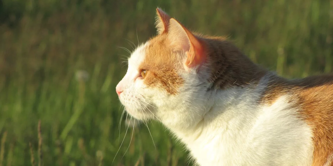 Специалисты рассказали, как спастиcь в сильную жару