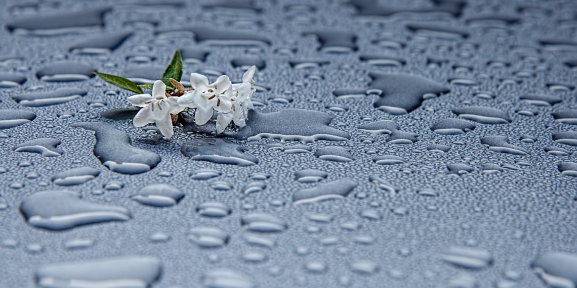 Какая погода ожидается в Новосибирске во второй половине недели