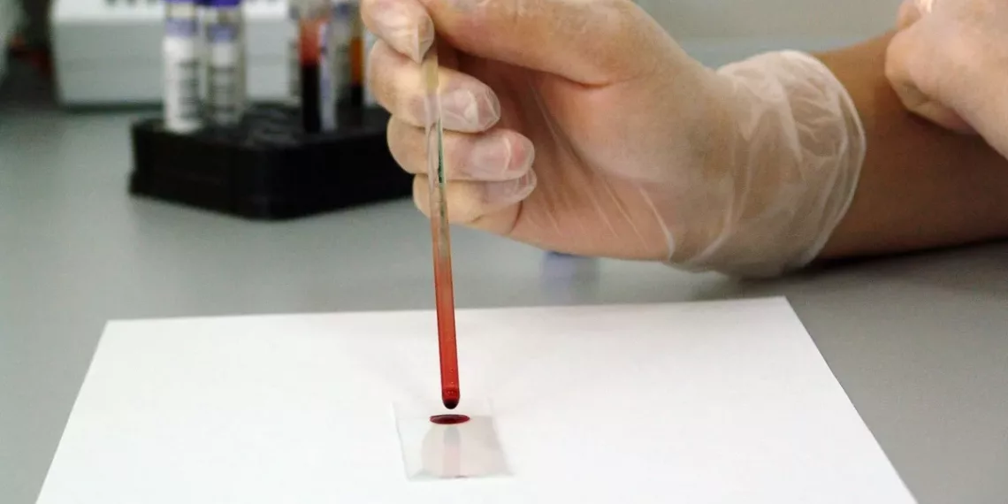 В Новосибирске запустили томографический центр для проведения научных доклинических исследований на животных