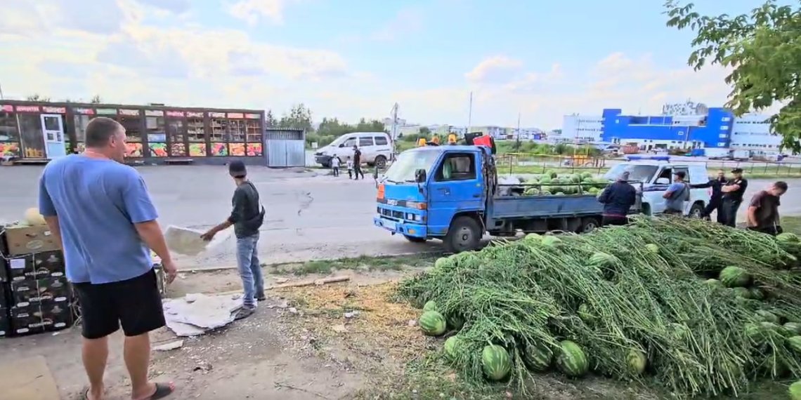 У нелегальных торговцев изъяли 20 тонн арбузов и дынь в Новосибирске
