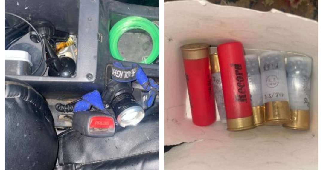 На браконьера завели уголовное дело за убийство косули в Новосибирской области