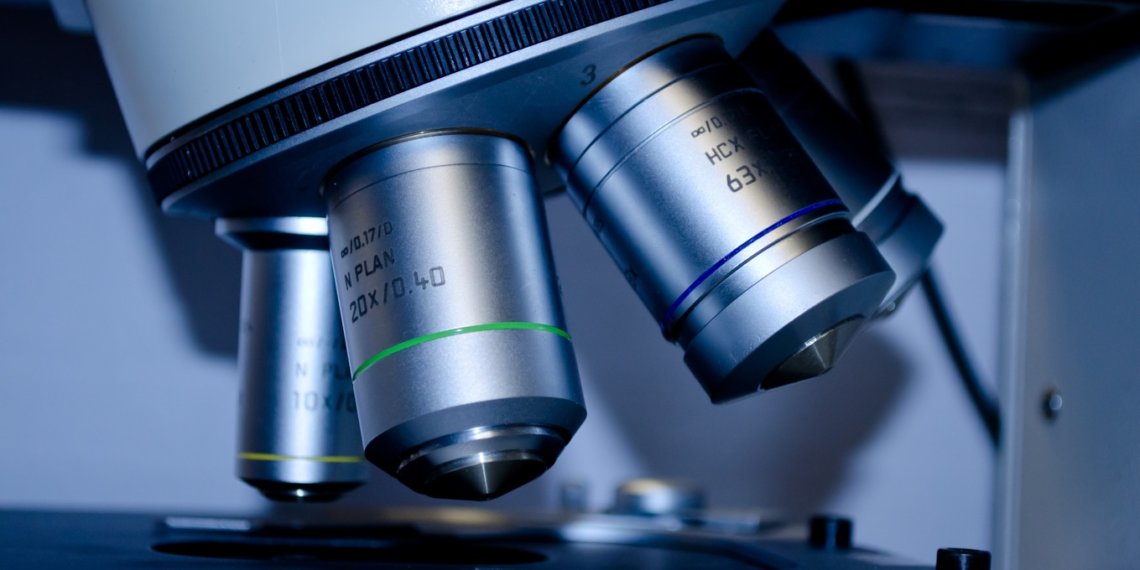 Ученые выяснили, какие бактерии микрофлоры повышают риск смерти после трансплантации органов