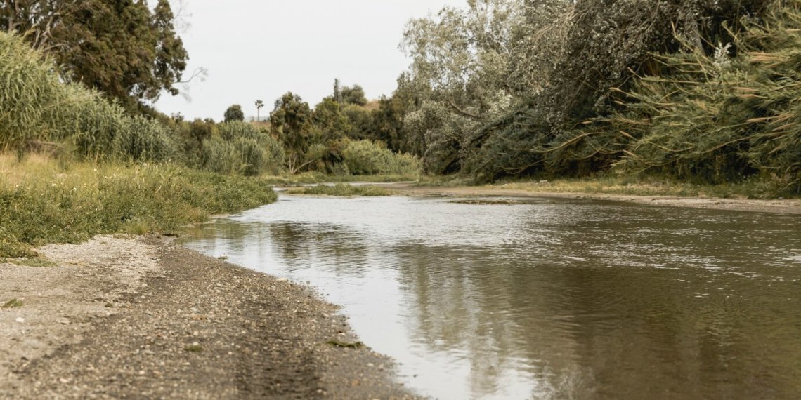 Малую новосибирскую реку признали экстремально загрязненной