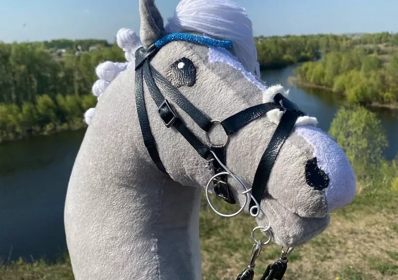 Федерация конного спорта заступилась за хоббихорсинг перед «Ветеранами России»