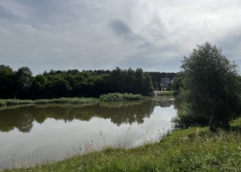 «Вдох, и все, 40 секунд – человека нет!»: как гибнут люди на воде